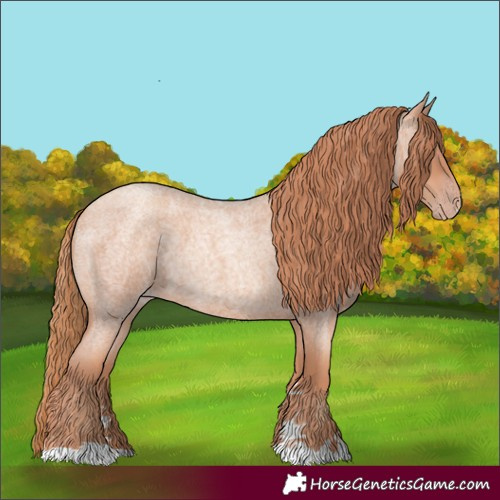 Horse Color:Gold Champagne Roan 
