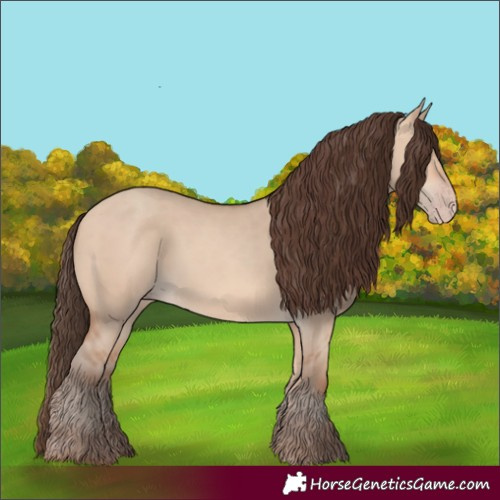 Horse Color:Amber Champagne Dun 