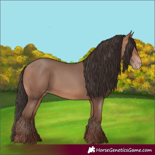 Horse Color:Amber Champagne 