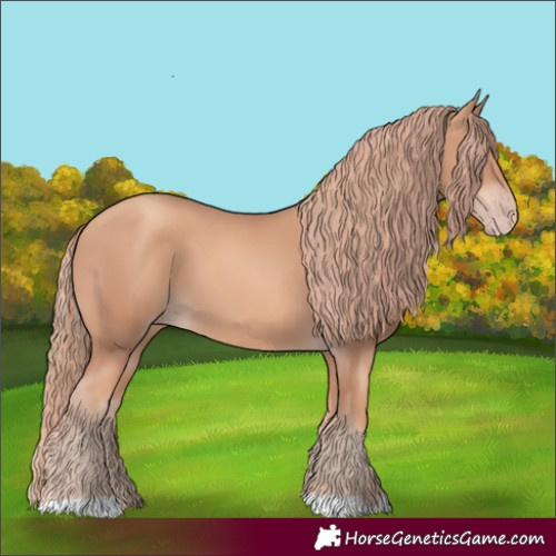 Horse Color:Gold Champagne
