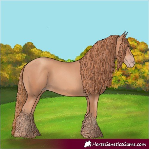 Horse Color:Gold Champagne 
