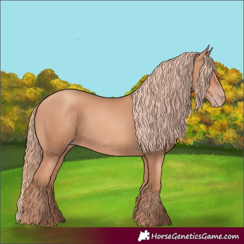 Horse Color:Gold Champagne