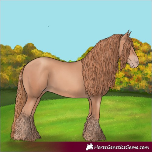 Horse Color:Gold Champagne Rabicano 