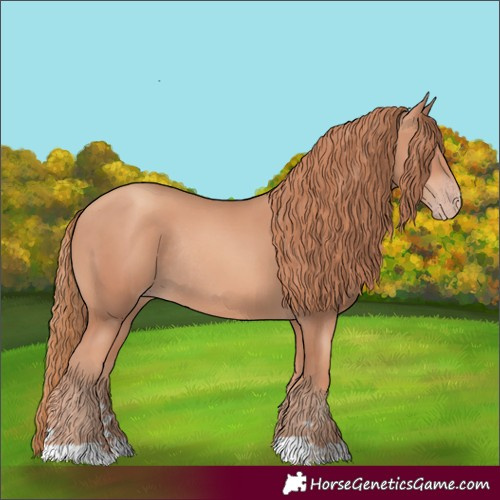 Horse Color:Gold Champagne Rabicano