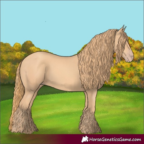 Horse Color:Gold Champagne Rabicano