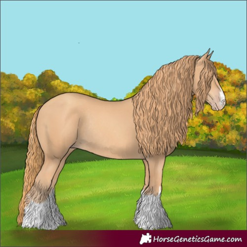 Horse Color:Gold Champagne Rabicano