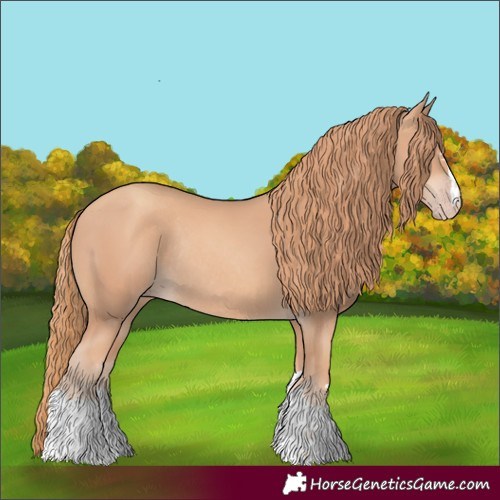 Horse Color:Gold Champagne Rabicano