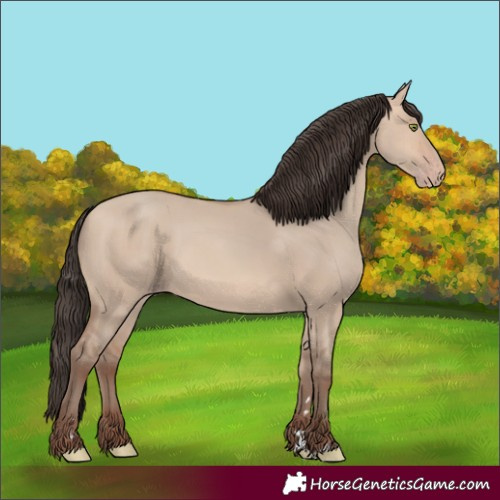 Horse Color:Unknown