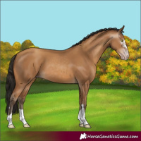 Horse Color:Gray Amber Champagne 