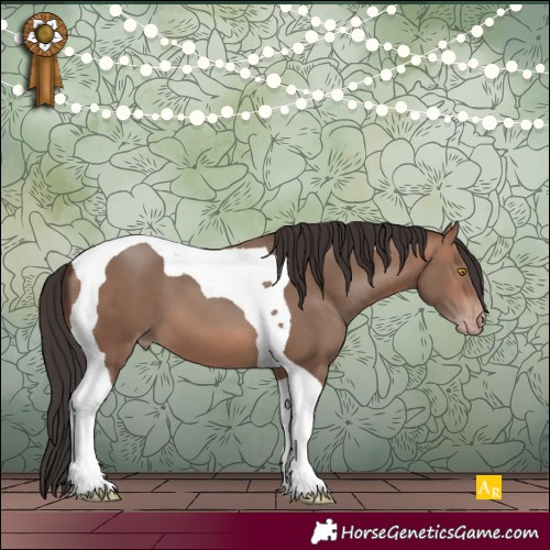 Horse Color:Sable Champagne Tobiano 