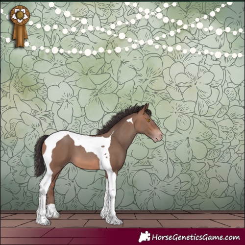 Horse Color:Sable Champagne Tobiano 