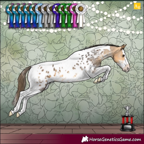 Horse Color:Buckskin Sabino Splash Tobiano Appaloosa 