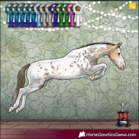 Horse Color:Buckskin Sabino Splash Tobiano Appaloosa