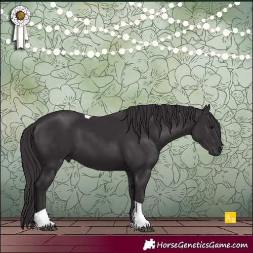 Horse Color:Smoky Black Tobiano 