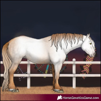Horse Color:Gray Gold Champagne