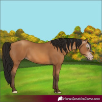 Horse Color:Gray Amber Champagne