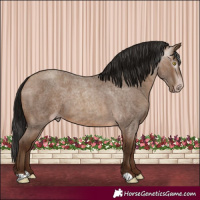 Horse Color:Gray Amber Champagne Roan 