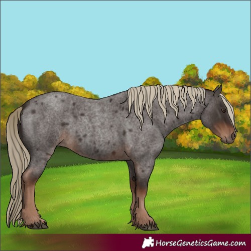Horse Color:Liver Red Roan 