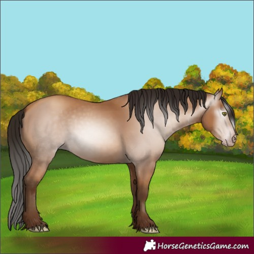 Horse Color:Gray Amber Champagne 
