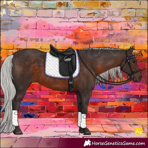 Horse Color:Silver Brown 