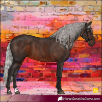 Horse Color:Silver Brown
