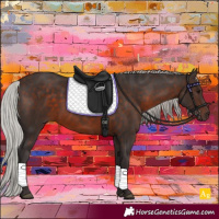 Horse Color:Silver Brown 