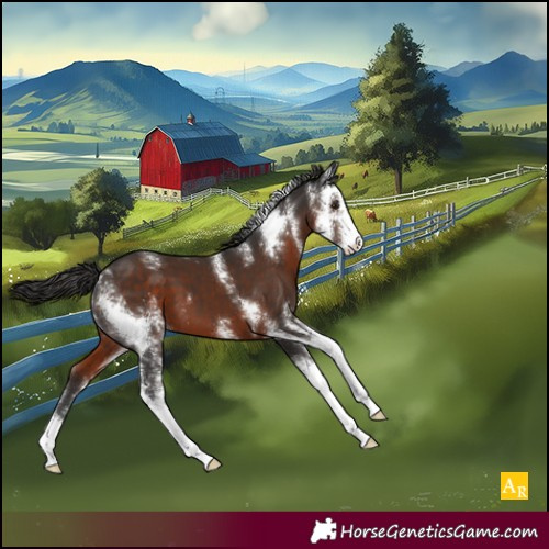 Horse Color:Liver Chestnut Sabino