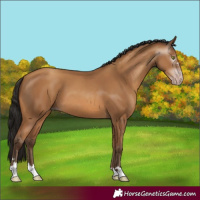 Horse Color:Gray Amber Champagne 
