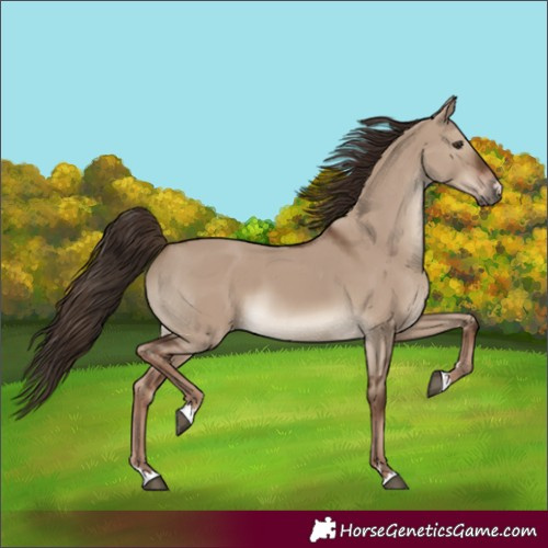 Horse Color:Liver Red Dun 