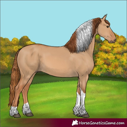 Horse Color:Red Dun Tobiano 