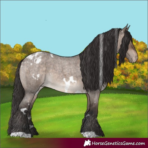 Horse Color:White Spotted Brown Roan Dun Appaloosa Brindle 