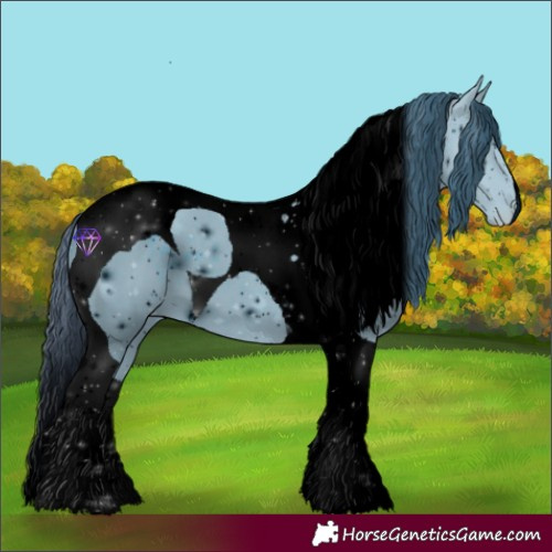 Horse Color:ERROR: UNKNOWN ANOMALY