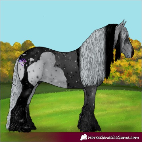 Horse Color:ERROR: UNKNOWN ANOMALY