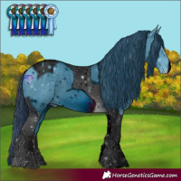 Horse Color:ERROR: UNKNOWN ANOMALY