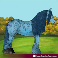 Horse Color:ERROR: UNKNOWN ANOMALY