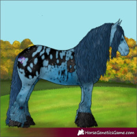 Horse Color:ERROR: UNKNOWN ANOMALY