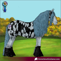 Horse Color:ERROR: UNKNOWN ANOMALY