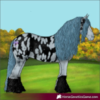 Horse Color:ERROR: UNKNOWN ANOMALY