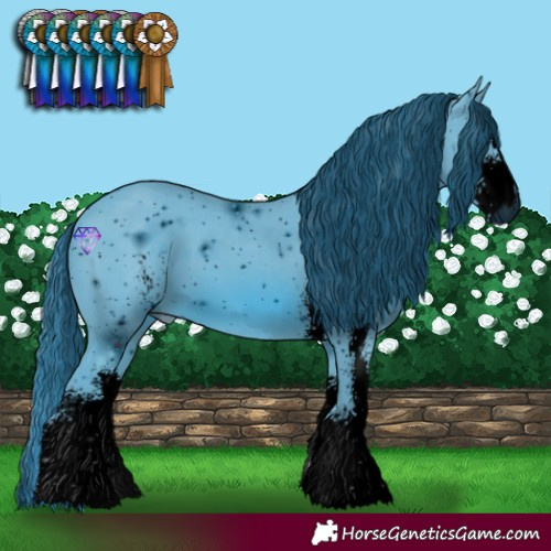 Horse Color:ERROR: UNKNOWN ANOMALY