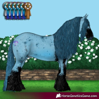 Horse Color:ERROR: UNKNOWN ANOMALY