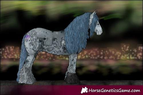 Horse Color:ERROR: UNKNOWN ANOMALY