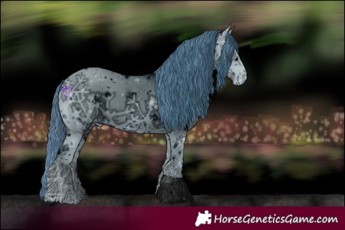 Horse Color:ERROR: UNKNOWN ANOMALY