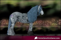 Horse Color:ERROR: UNKNOWN ANOMALY