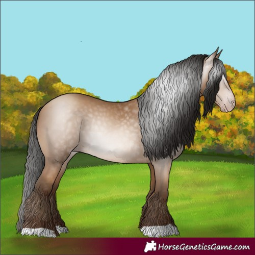 Horse Color:Gray Amber Champagne