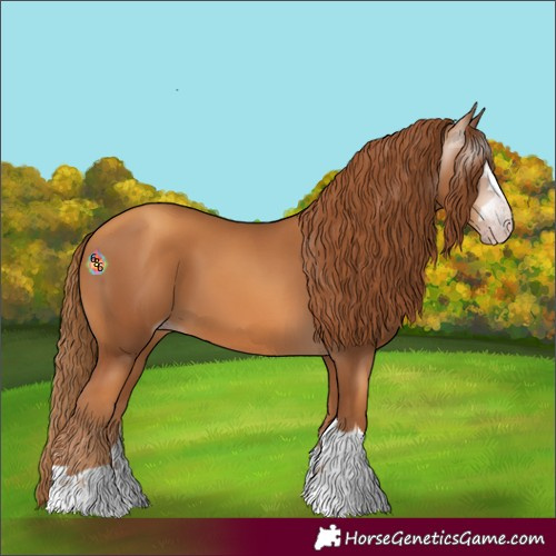 Horse Color:Gray Gold Champagne 