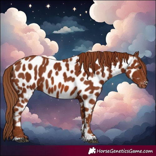 Horse Color:Chestnut Near Leopard