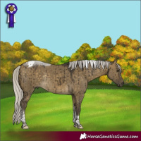 Horse Color:Silver Buckskin Dun Tobiano Rabicano Brindle