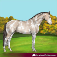 Horse Color:White Spotted Amber Champagne Dun Sabino Rabicano 