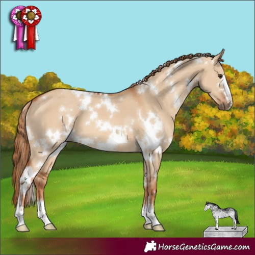 Horse Color:White Spotted Red Dun 