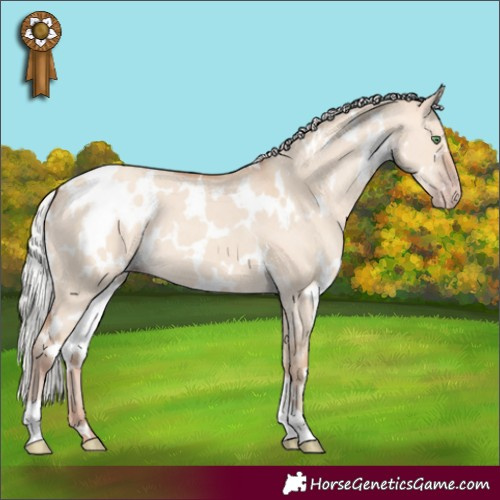 Horse Color:White Spotted Silver Classic Champagne Dun 